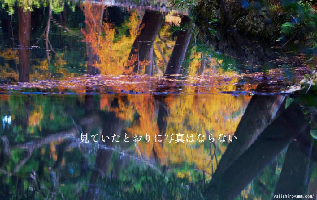 水面に映った紅葉